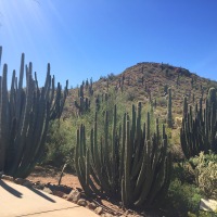 Foodie Travel: Spring Training Eats in Phoenix, Arizona and Sedona, Arizona